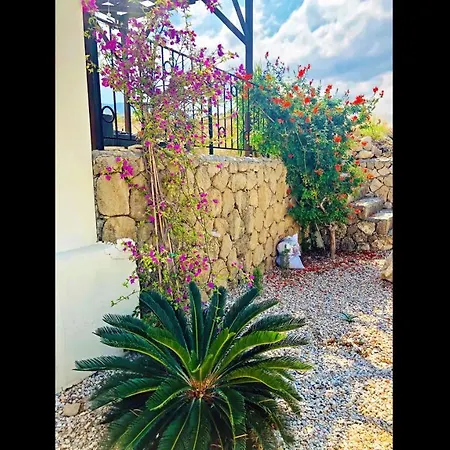 Seaview Apartment Esentepe Northern Cyprus Pachna